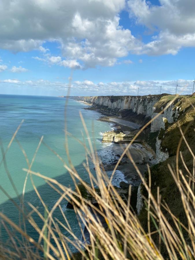 Le Maritime, Front De Mer Et Parking Sous-Terrain Fecamp Bagian luar foto